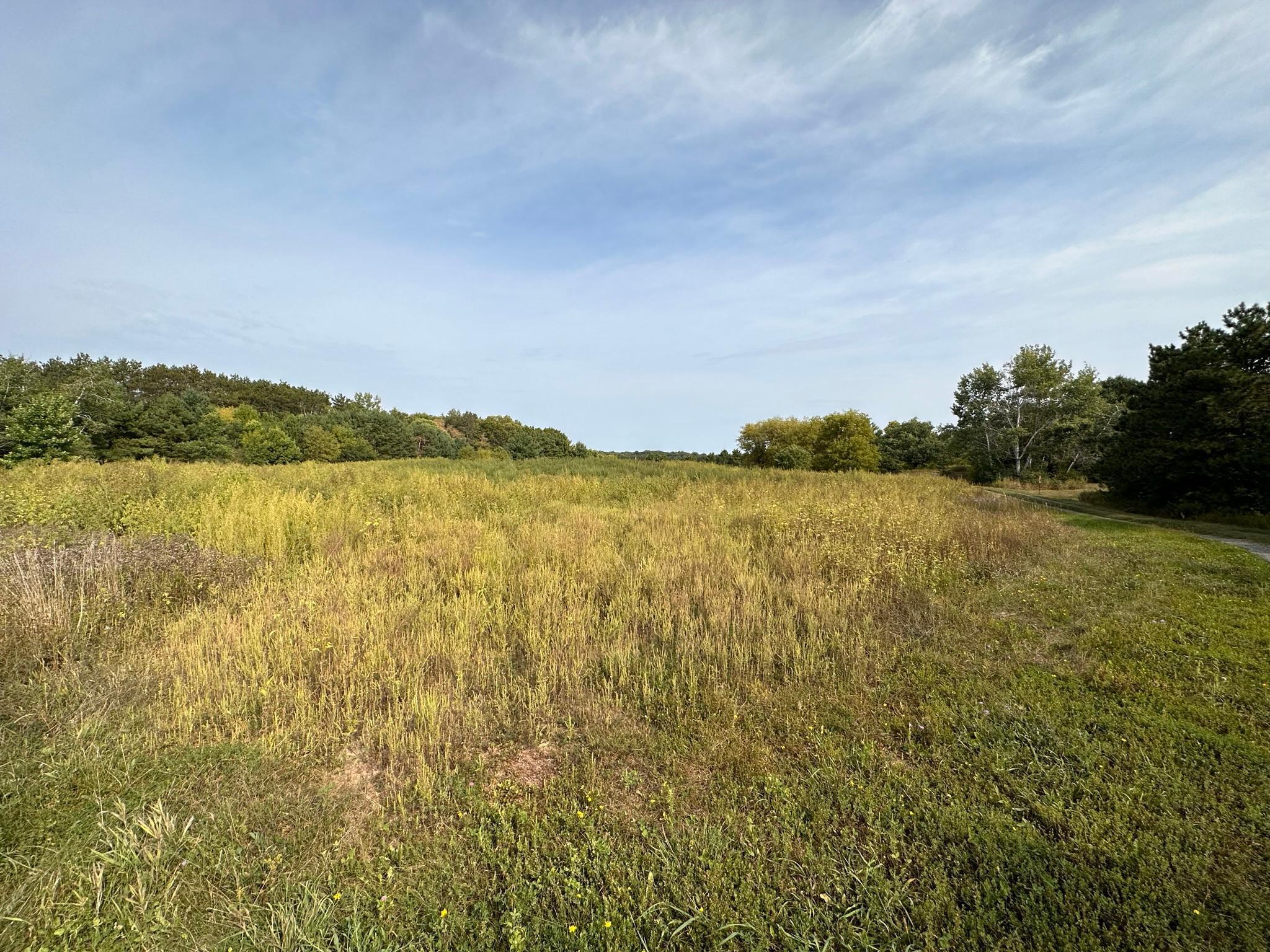 15XXX Oakhill Road, Scandia, Minnesota image 12