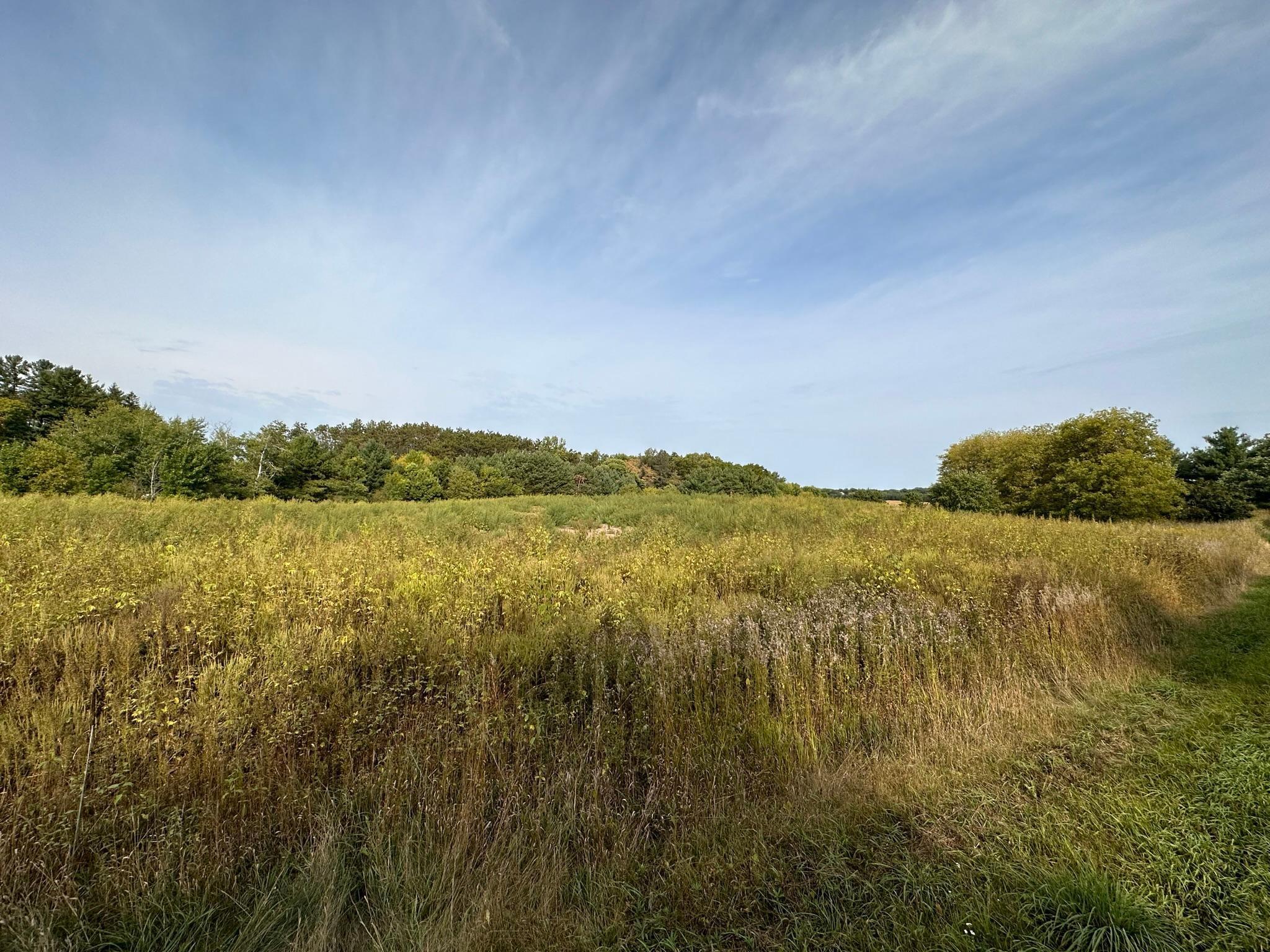 15XXX Oakhill Road, Scandia, Minnesota image 13