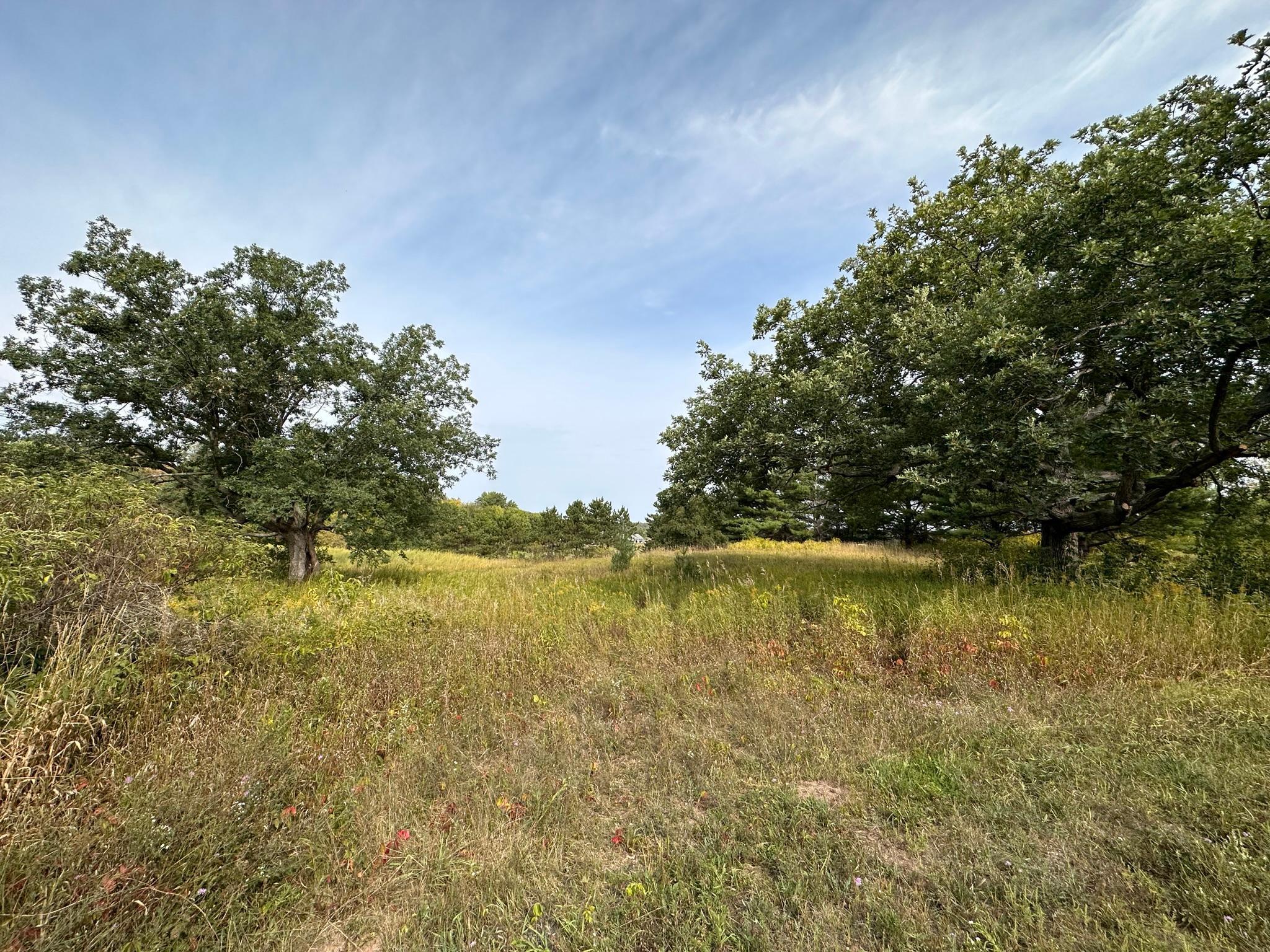 15XXX Oakhill Road, Scandia, Minnesota image 1