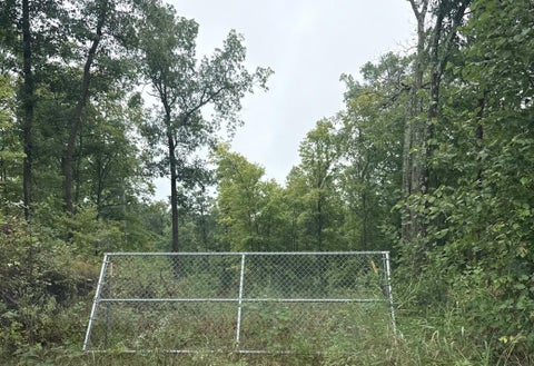 Vacant Land For Sale - TBD Hwy 48<br/> Polk County, Luck, WI 54853