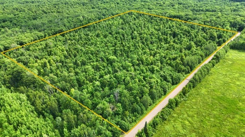 Vacant Land For Sale - XXX W Eckel Lane<br/> Sawyer County, Couderay, WI 54835