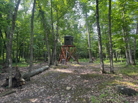 Vacant Land For Sale - XXX W Eckel Lane<br/> Couderay, WI 54835