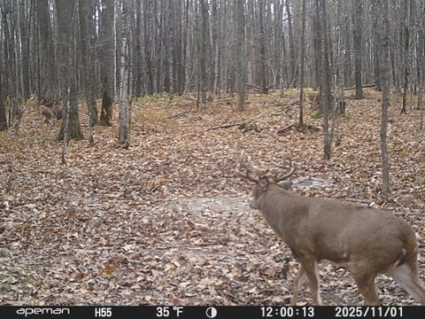 Vacant Land For Sale - XXX W Eckel Lane<br/> Sawyer County, Couderay, WI 54835