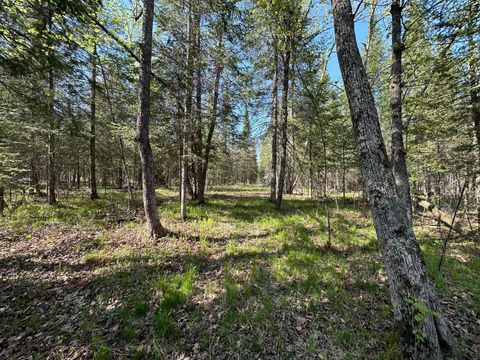 Vacant Land For Sale - XXX Elm Road<br/> Barnum, MN 55707