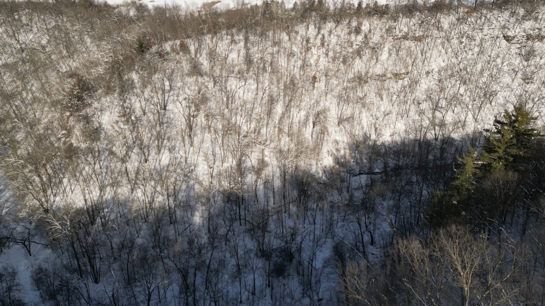 TBD Echo Ridge Drive, Lewiston, Minnesota image 26