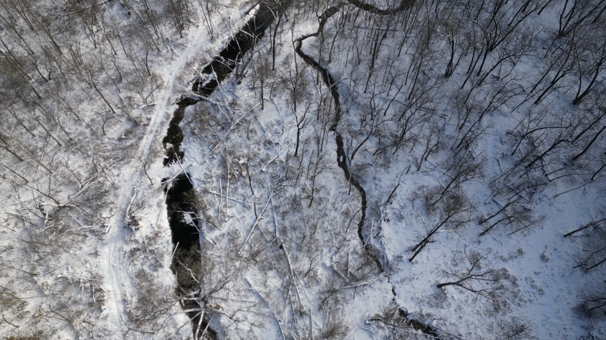 TBD Echo Ridge Drive, Lewiston, Minnesota image 10