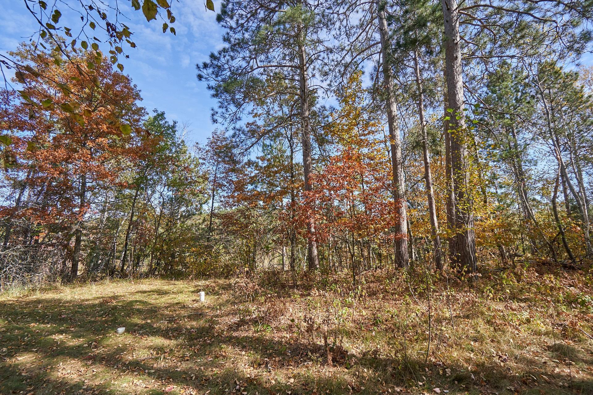 36152 Gale Lane, Crosslake, Minnesota image 6
