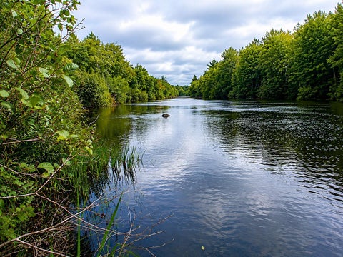 Vacant Land For Sale - LOT 1 State Road 27/70<br/> Sawyer County, Couderay, WI 54828