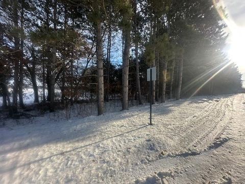 Vacant Land For Sale - 23631 190th Street<br/> Sherburne County, Big Lake, MN 55309