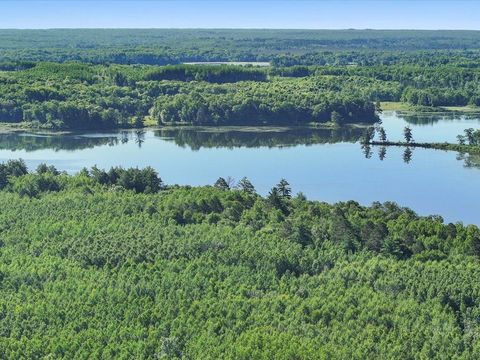 Vacant Land For Sale - TBD State 84<br/> Longville, MN 56655