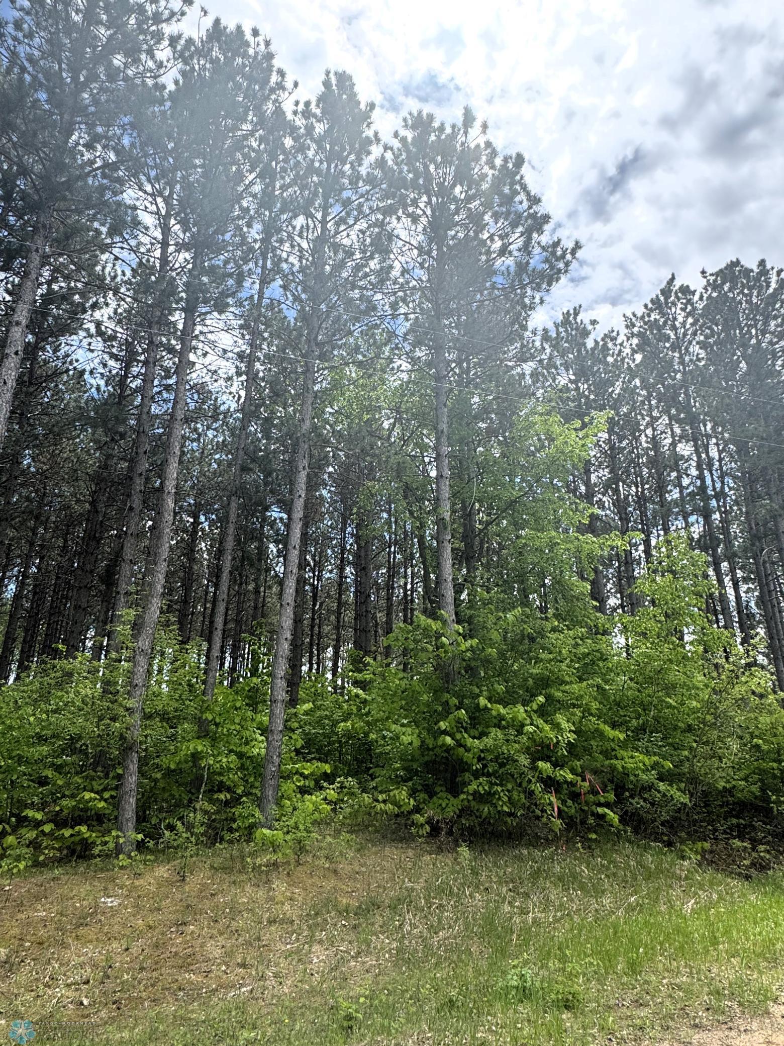 (Lot 4) TBD Waterfront Lane, Waubun, Minnesota image 2
