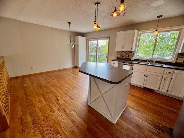 10019 Oakwood Court, Brooklyn Park, Minnesota image 6
