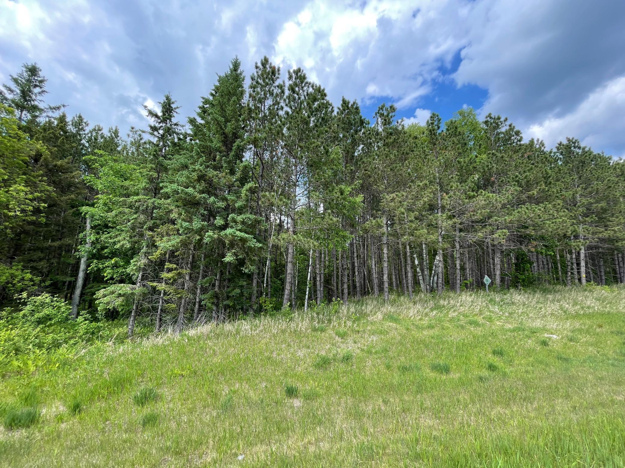 TBD N Plantangenet Road, Bemidji, Minnesota image 5