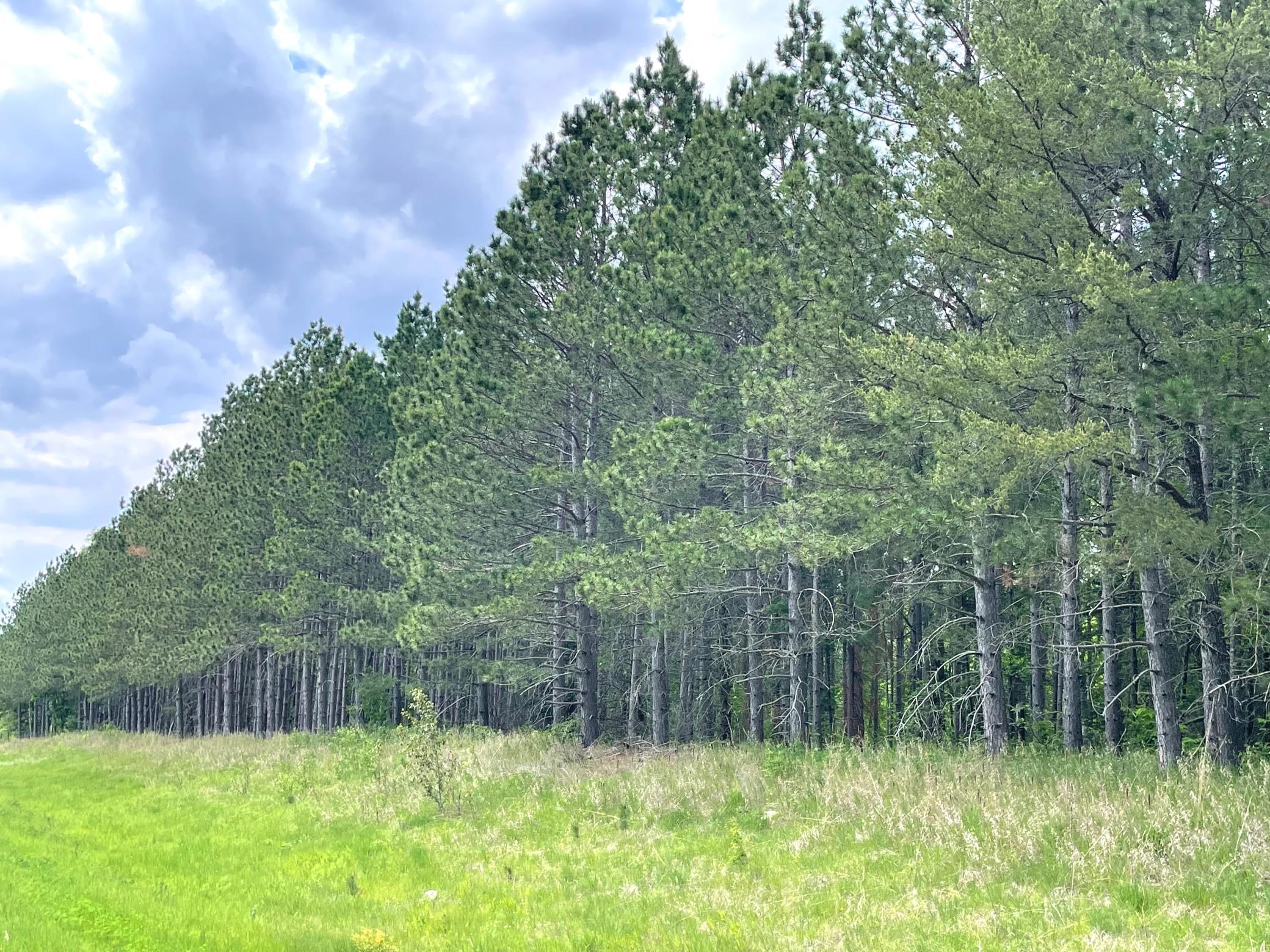 TBD N Plantangenet Road, Bemidji, Minnesota image 4