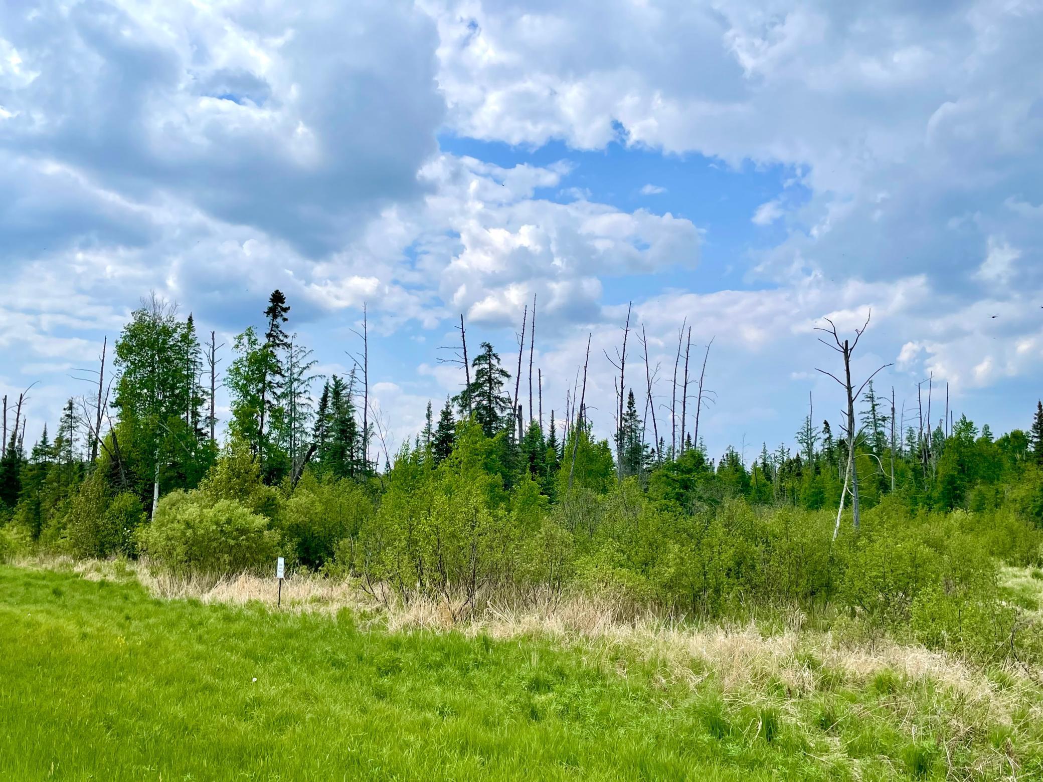 TBD N Plantangenet Road, Bemidji, Minnesota image 2