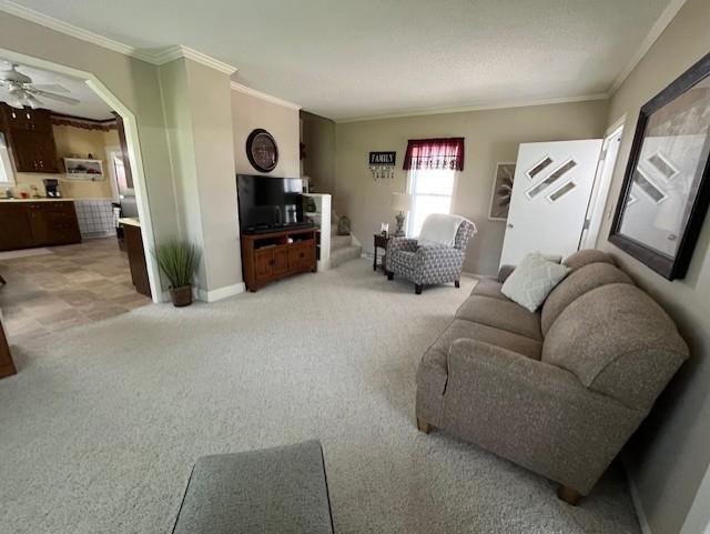 509 N Miller Avenue, Litchfield, Minnesota image 11