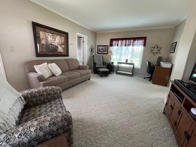509 N Miller Avenue, Litchfield, Minnesota image 10