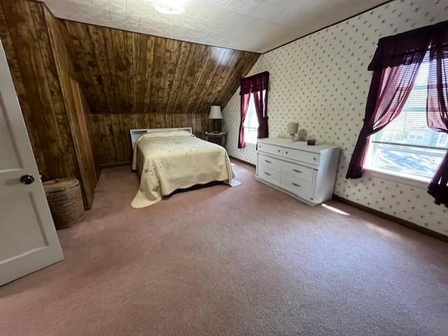 509 N Miller Avenue, Litchfield, Minnesota image 12