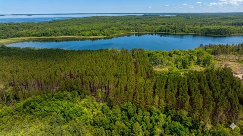 Vacant Land For Sale - TBD Fs2666<br/> Cass County, Walker, MN 56484