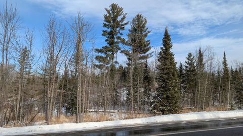 Vacant Land For Sale - TBD Hwy. 22<br/> Saint Louis County, Cook, MN 55703