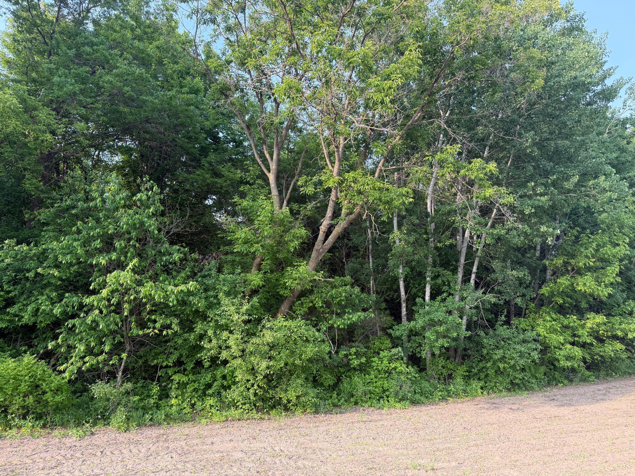 NA 465th Street, Harris, Minnesota image 23