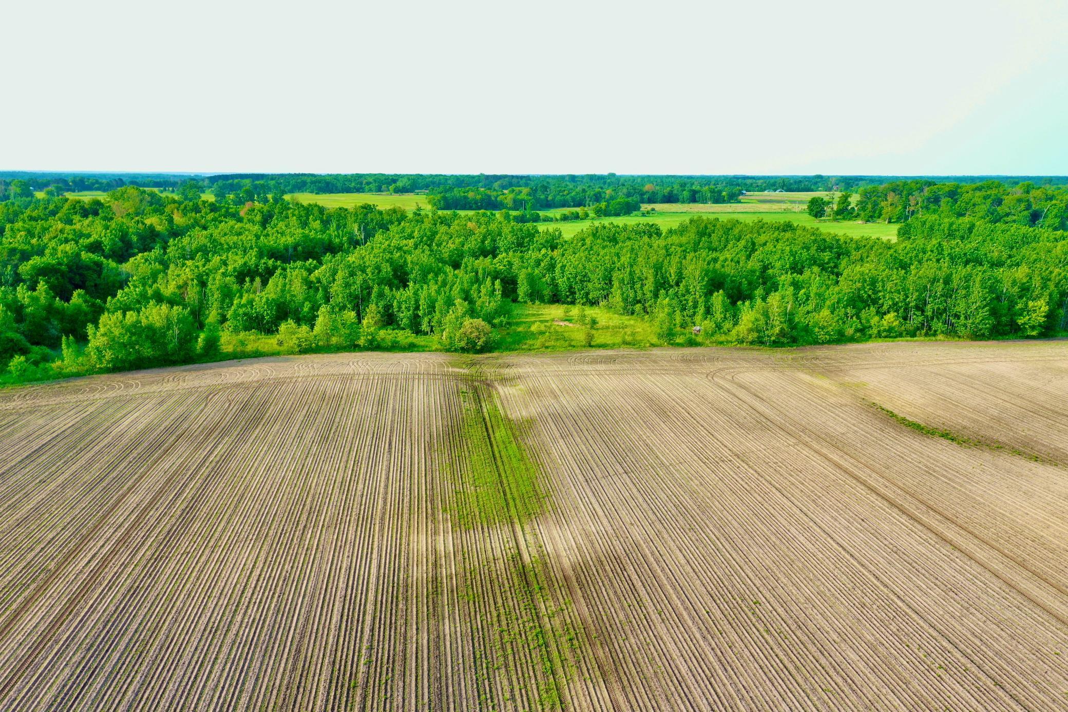 NA 465th Street, Harris, Minnesota image 9