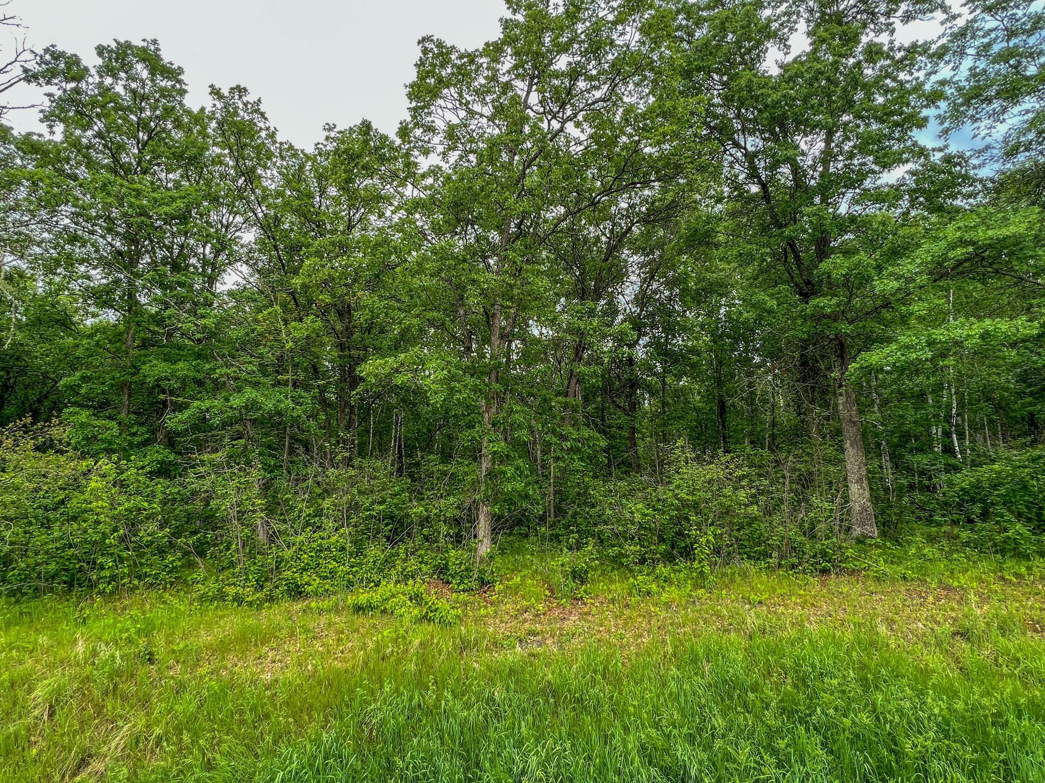 TBD Acorn Ridge Road, Bemidji, Minnesota image 3