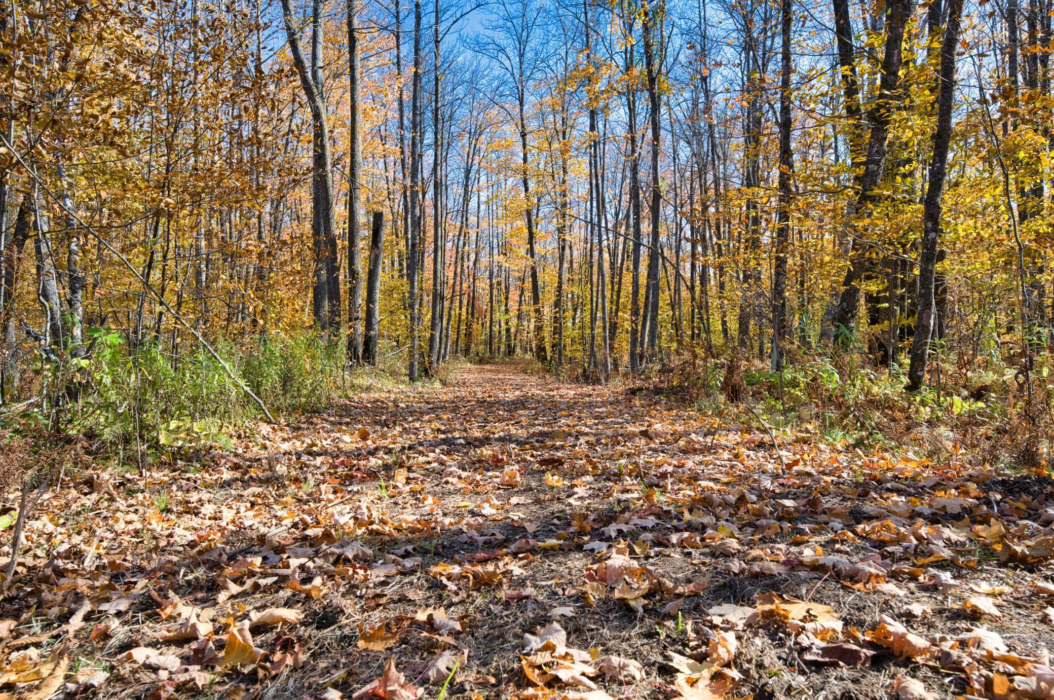 TBD Natures Way, Hibbing, Minnesota image 19