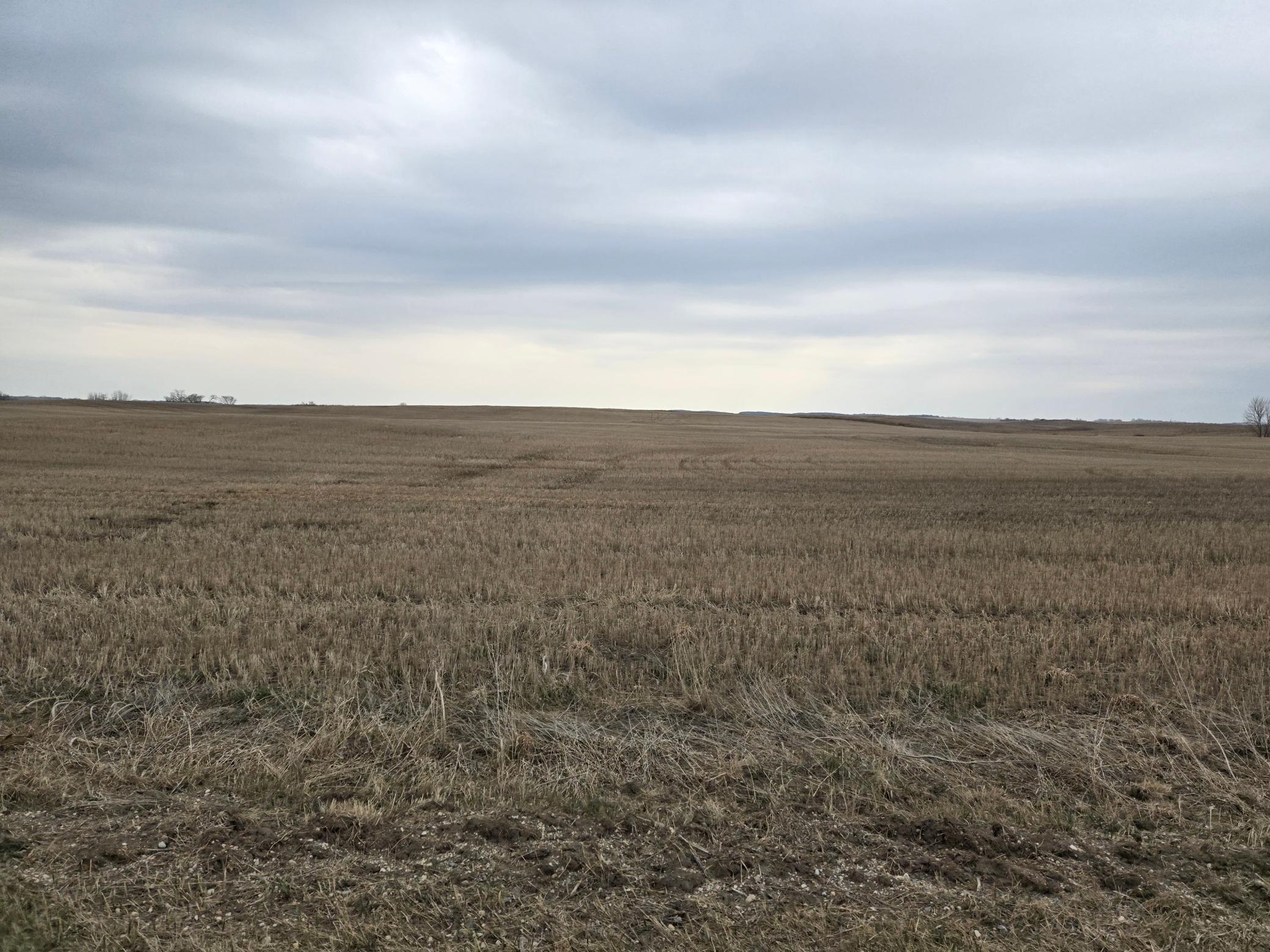 (LOT C) TBD 100th Avenue, Barnesville, Minnesota image 5