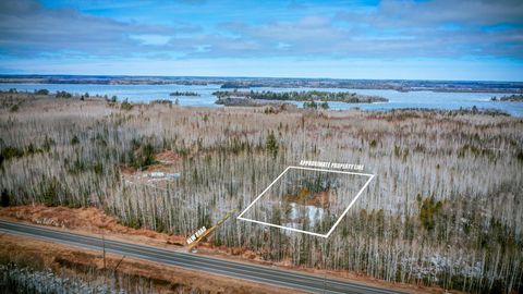 Vacant Land For Sale - PARCEL 12 TBD Hwy 115<br/> Saint Louis County, Tower, MN 55790