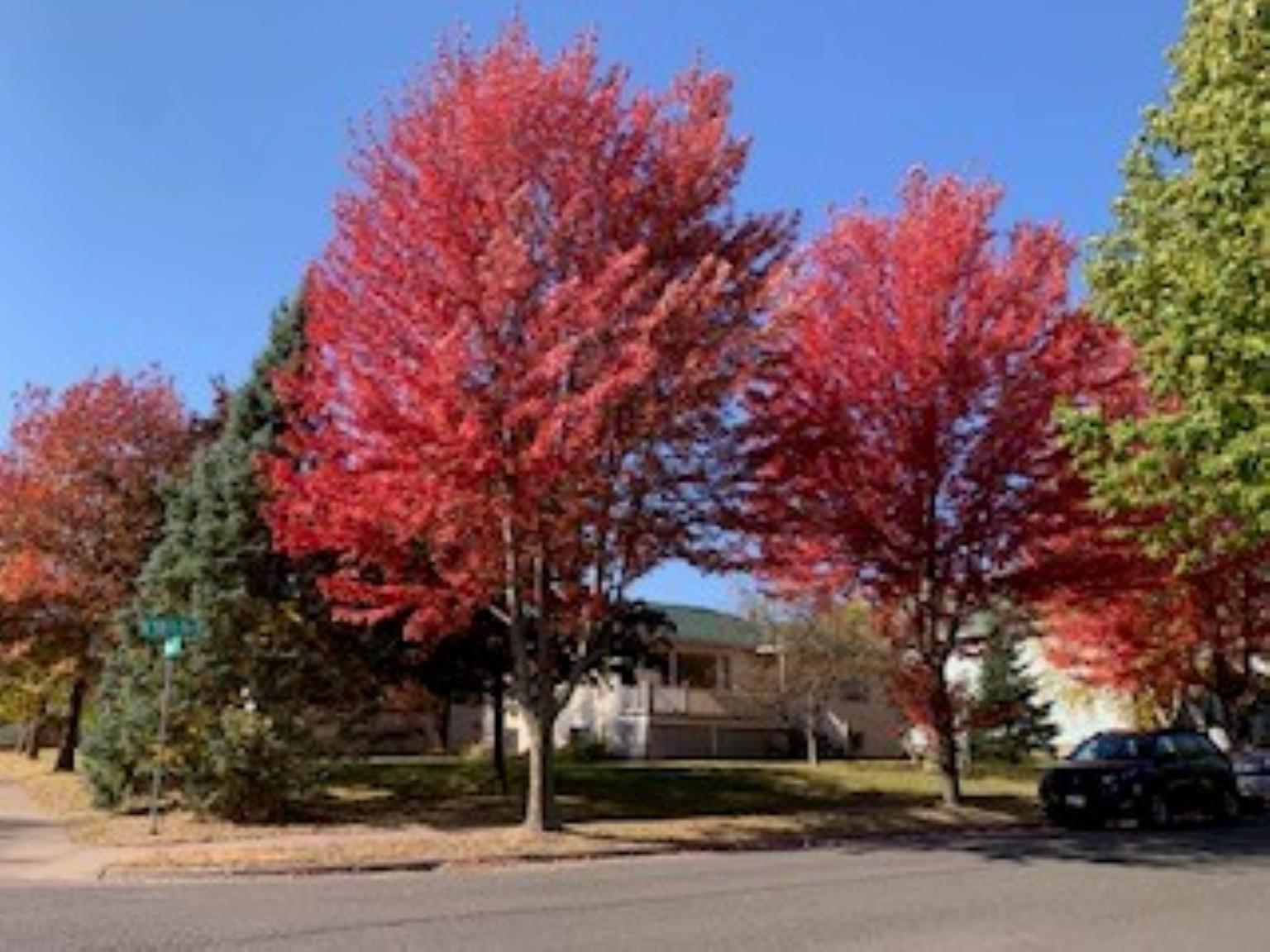 505 N 58th Avenue, Duluth, Minnesota image 30