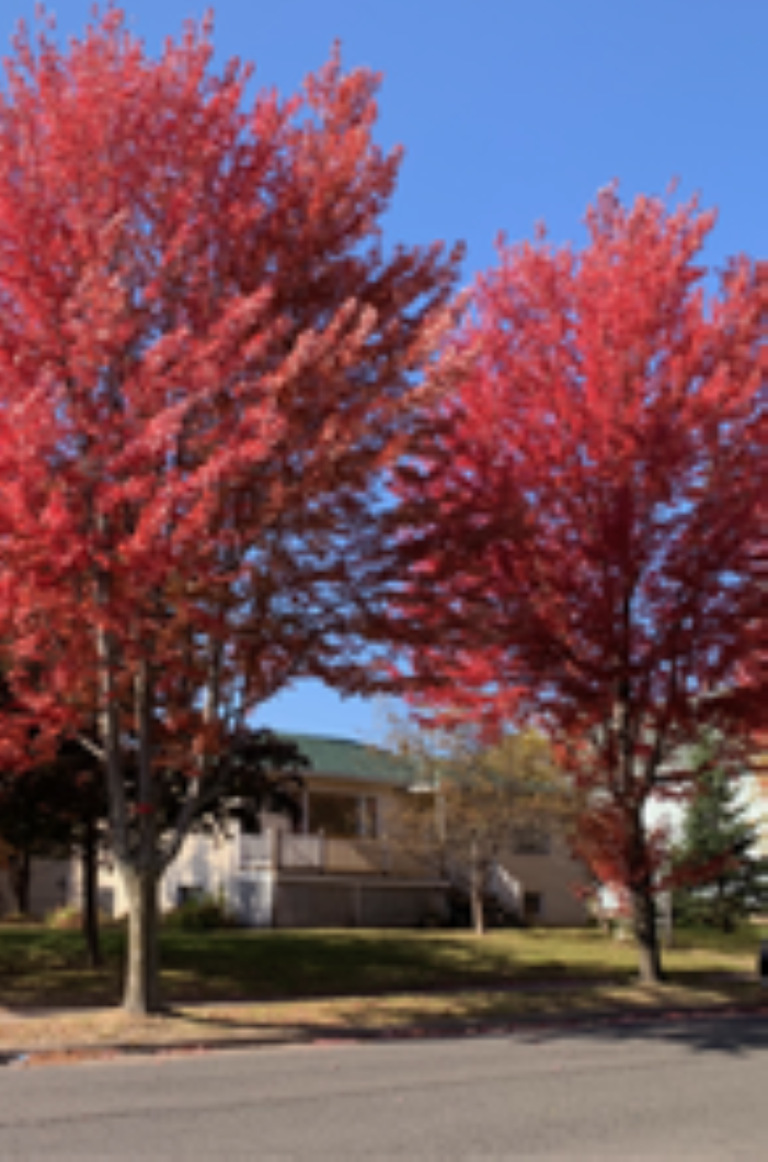 505 N 58th Avenue, Duluth, Minnesota image 31
