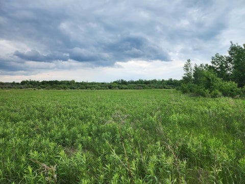 Vacant Land For Sale - TBD Rice Road<br/> Hinckley, MN 55037