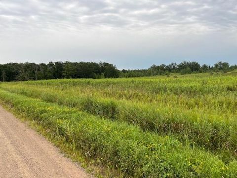 Vacant Land For Sale - XXXX 240th Avenue<br/> Kanabec County, Brook Park, MN 55007