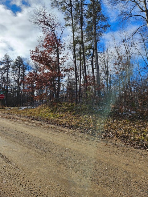 Vacant Land For Sale - LOTS 3 & 4 Raccoon Lane<br/> Breezy Point, MN 56472