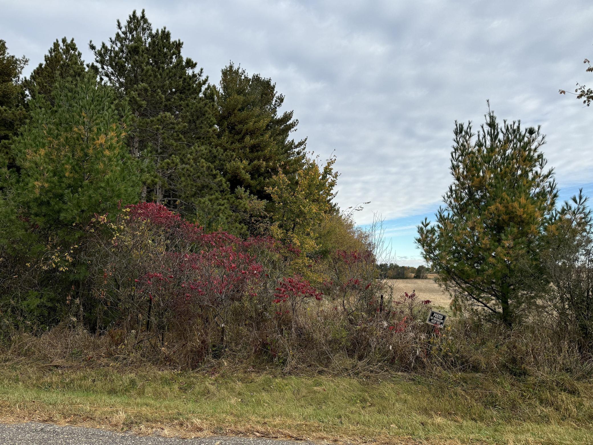 Lot 4 - XXXX 195th Avenue, New Richmond, Wisconsin image 15