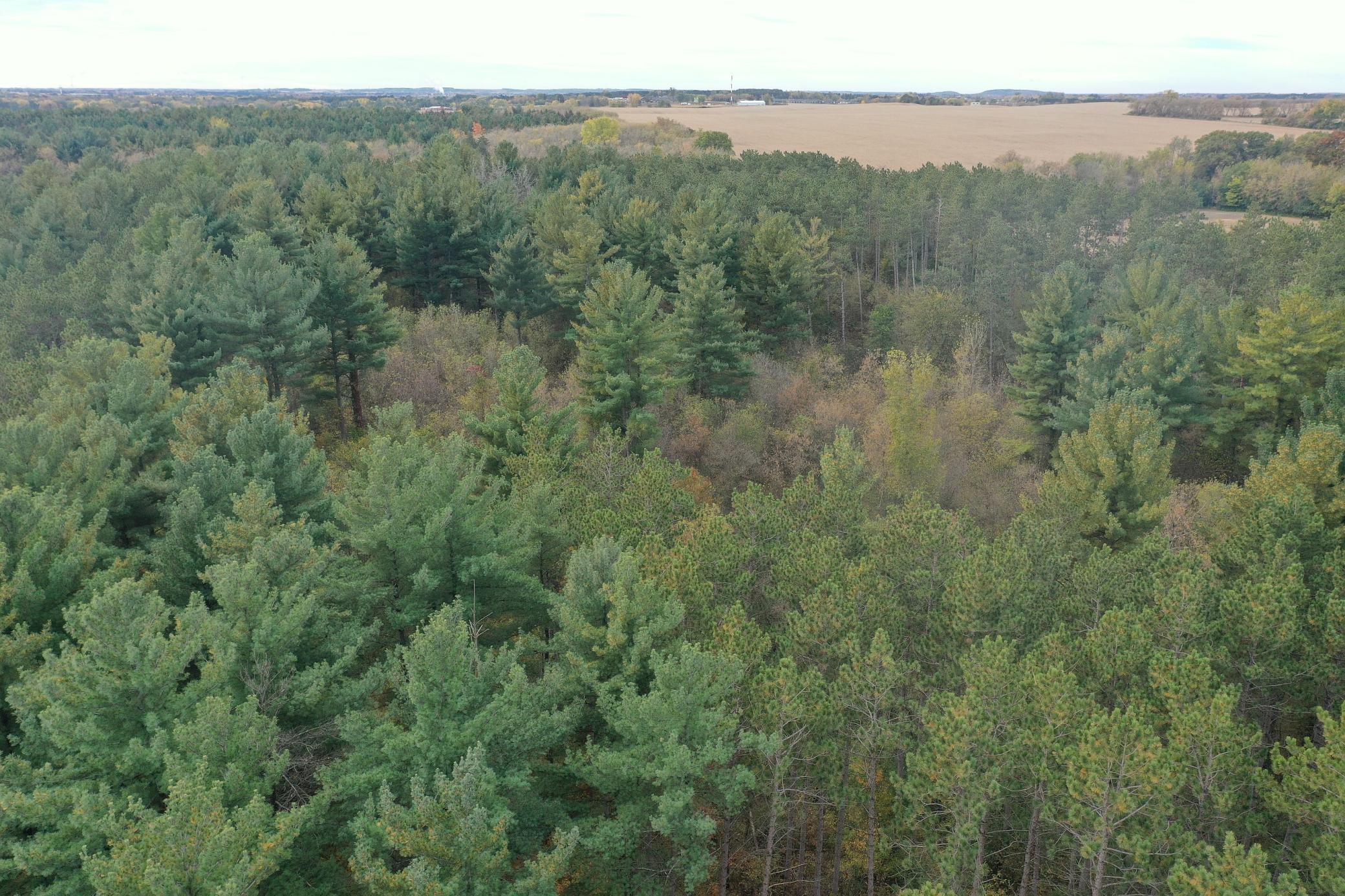 Lot 4 - XXXX 195th Avenue, New Richmond, Wisconsin image 24