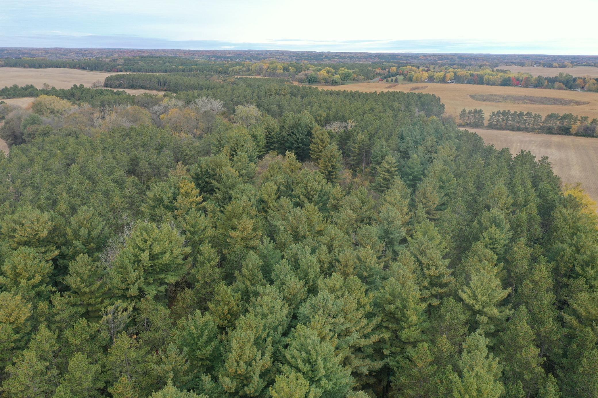 Lot 4 - XXXX 195th Avenue, New Richmond, Wisconsin image 16