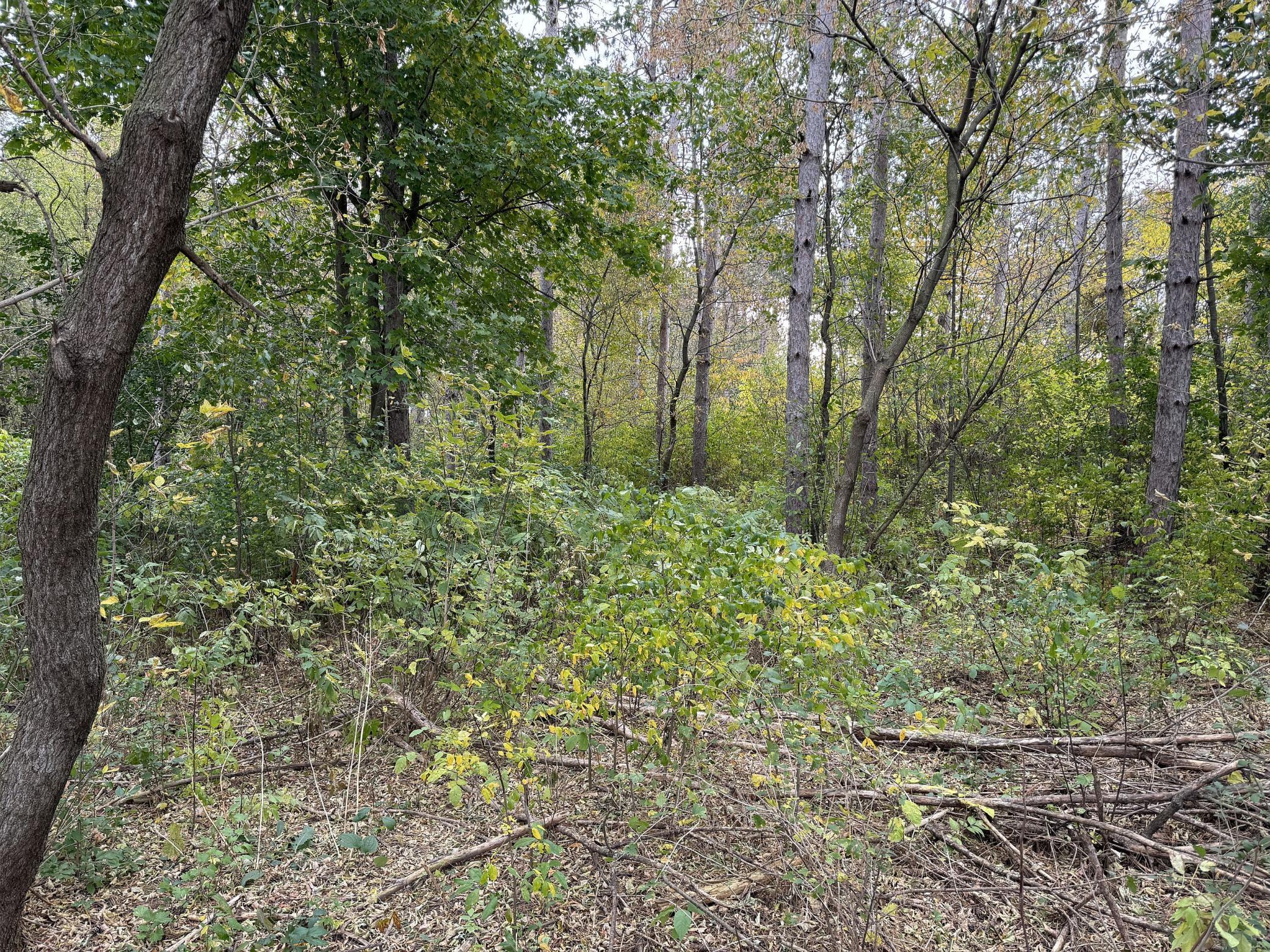 Lot 4 - XXXX 195th Avenue, New Richmond, Wisconsin image 14