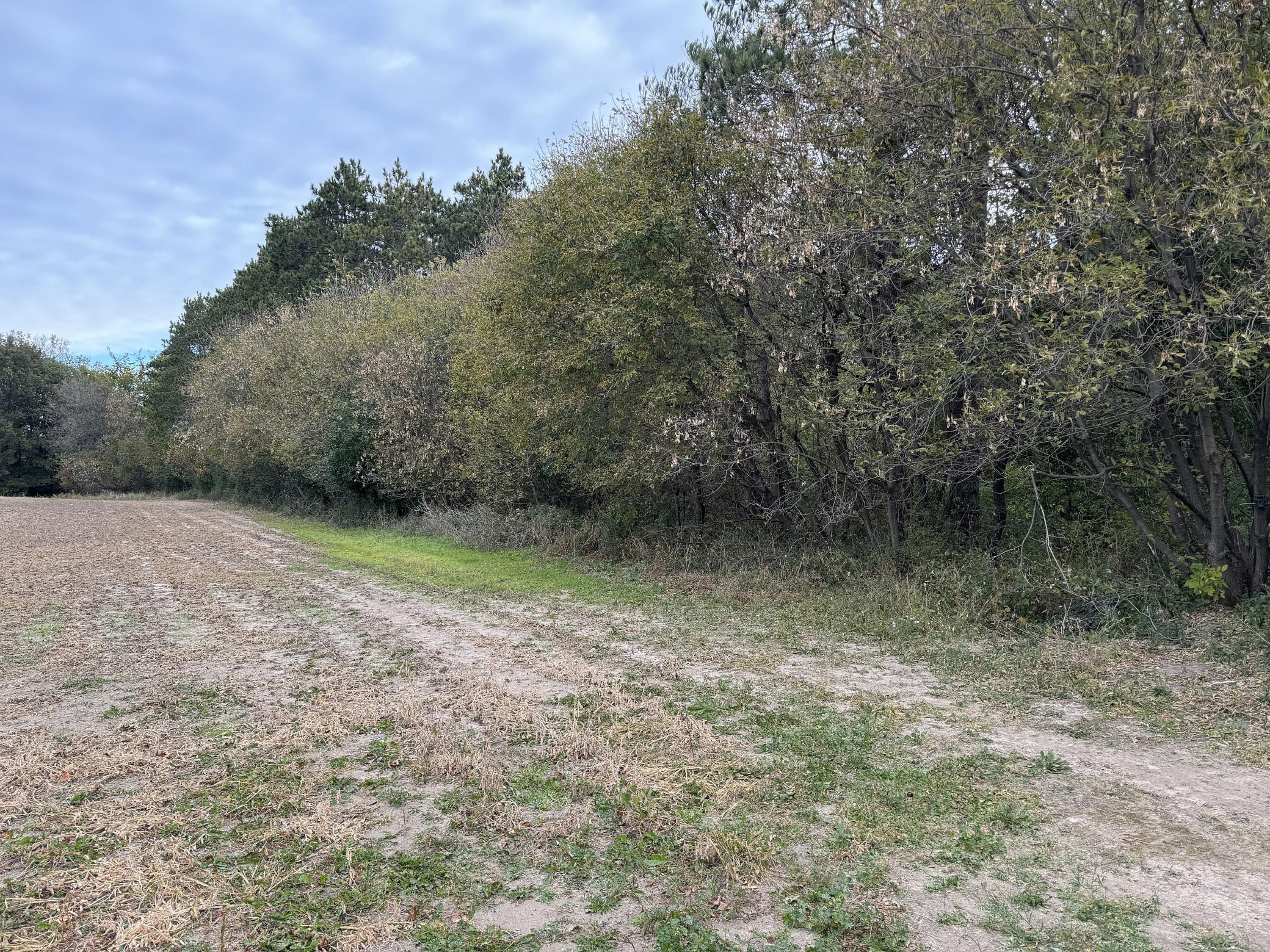 Lot 4 - XXXX 195th Avenue, New Richmond, Wisconsin image 13