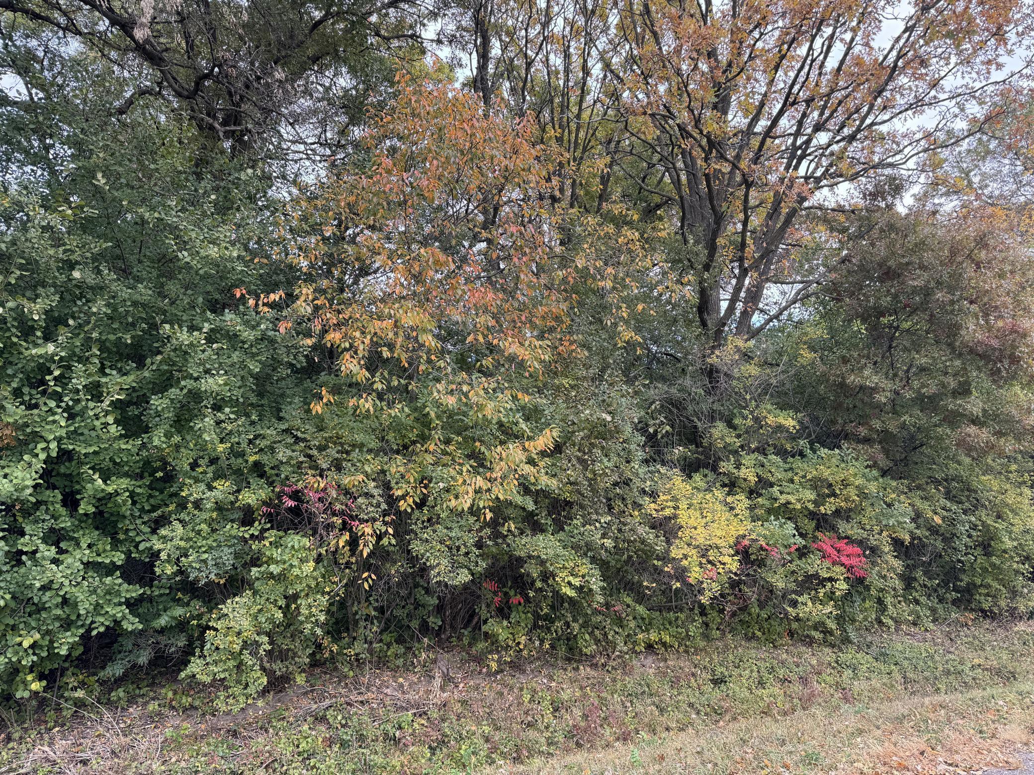 Lot 4 - XXXX 195th Avenue, New Richmond, Wisconsin image 12