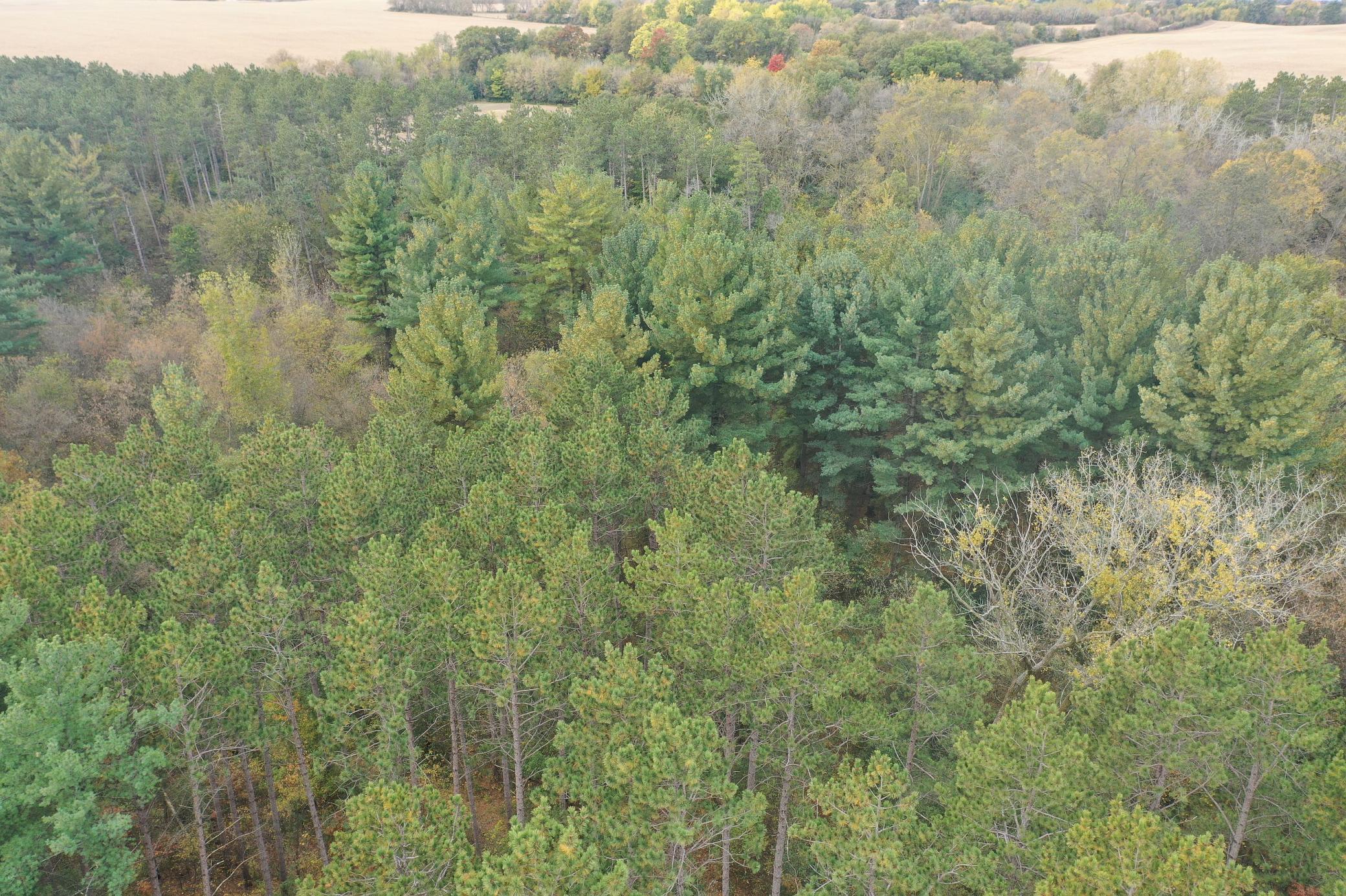 Lot 4 - XXXX 195th Avenue, New Richmond, Wisconsin image 26