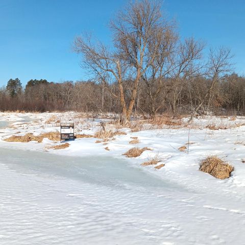 Vacant Land For Sale - TBD Island<br/> Pine River, MN 56472