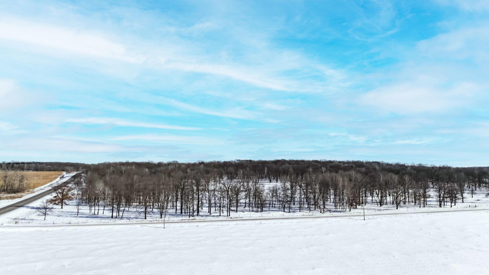 41Acres Red Oak Road, Staples, Minnesota image 7