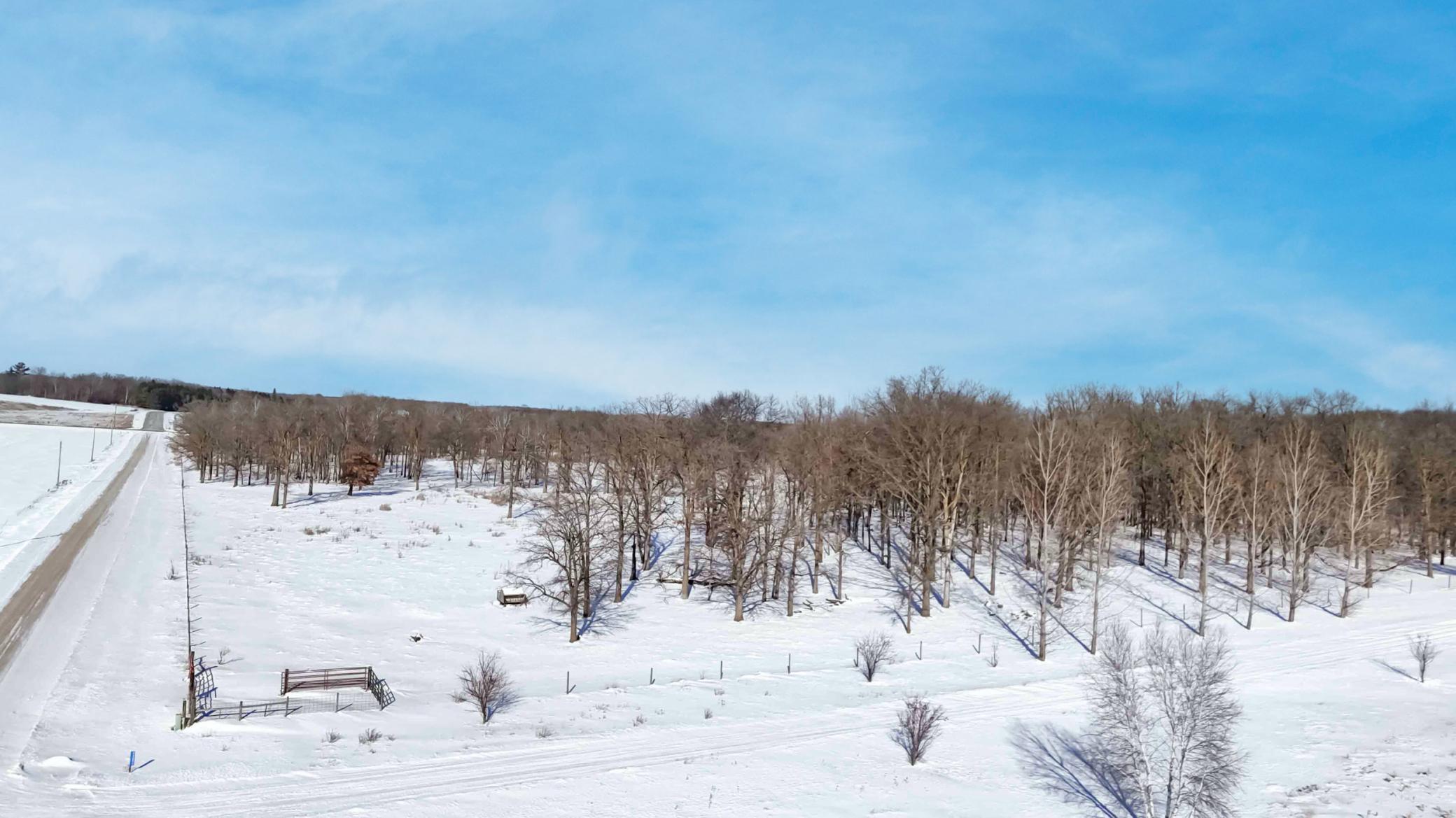 41Acres Red Oak Road, Staples, Minnesota image 3