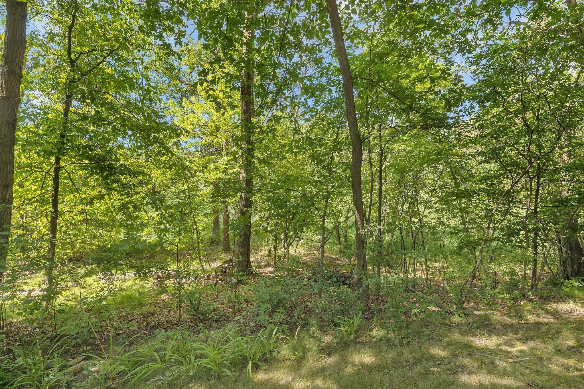 14789 Fireside Circle, Cold Spring, Minnesota image 32