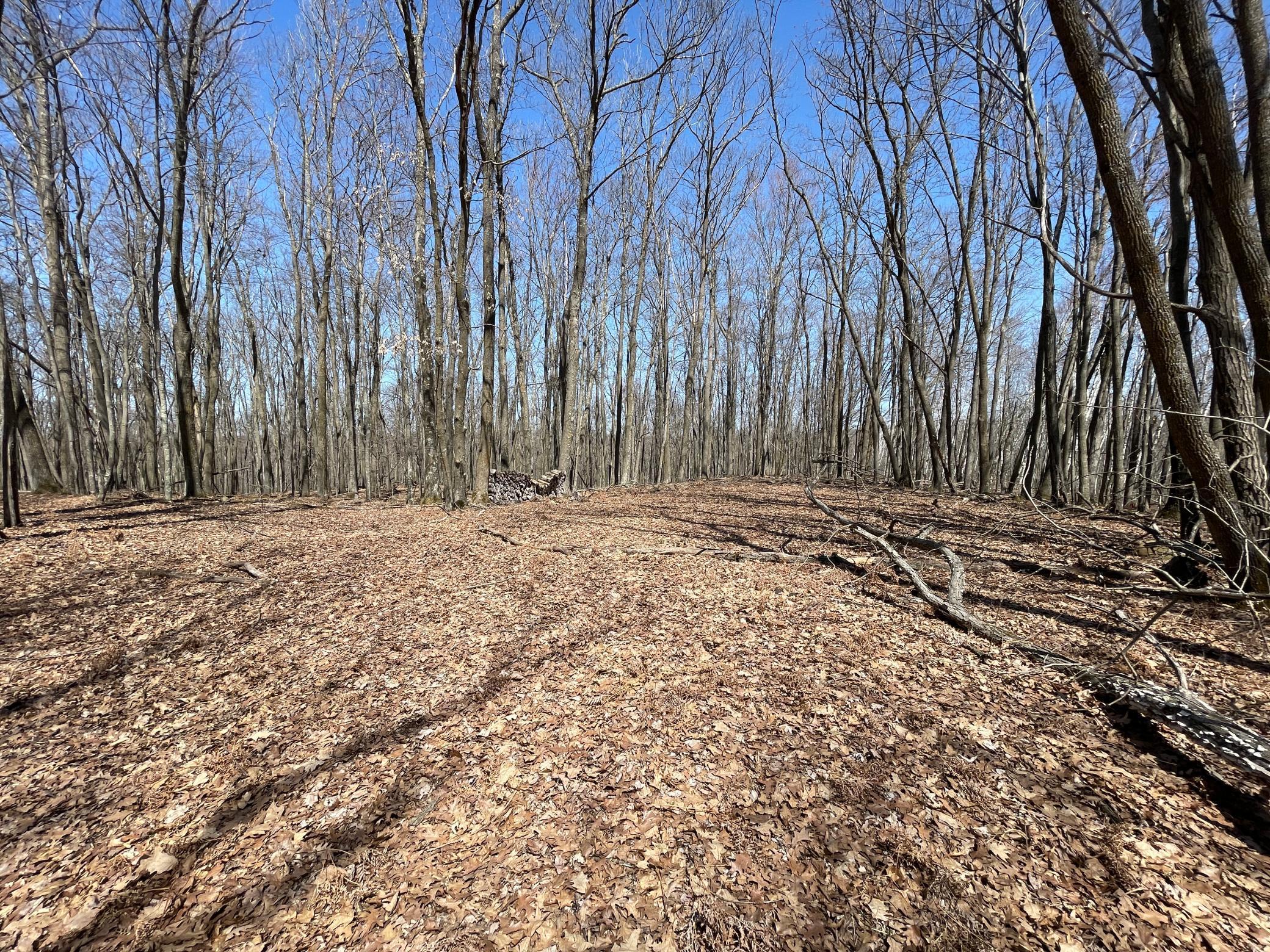 Sand Pit Road, Trego, Wisconsin image 11