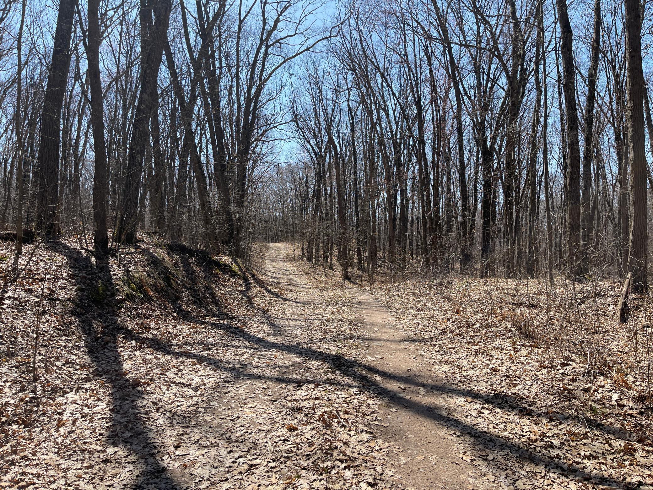Sand Pit Road, Trego, Wisconsin image 2