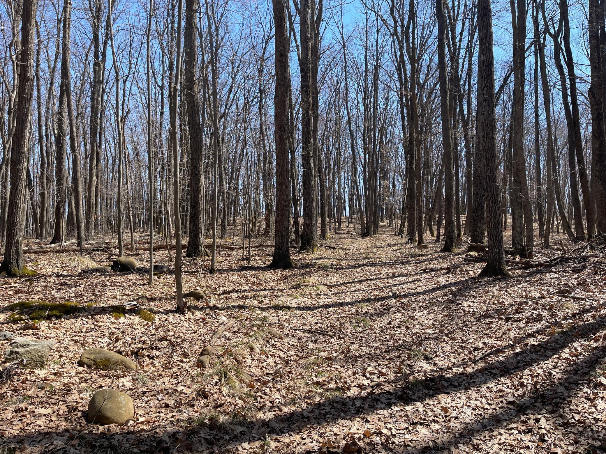 Sand Pit Road, Trego, Wisconsin image 5