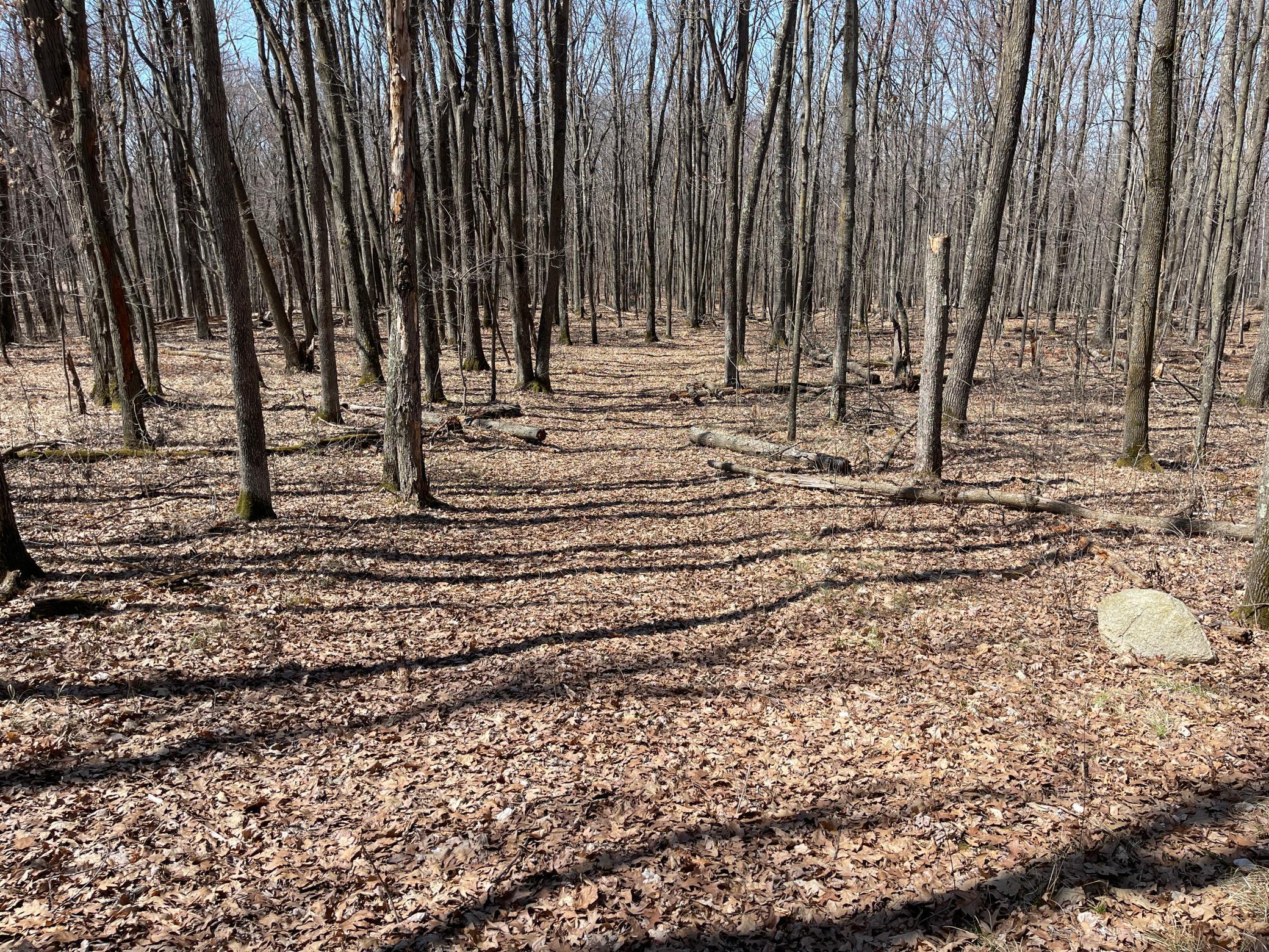 Sand Pit Road, Trego, Wisconsin image 10